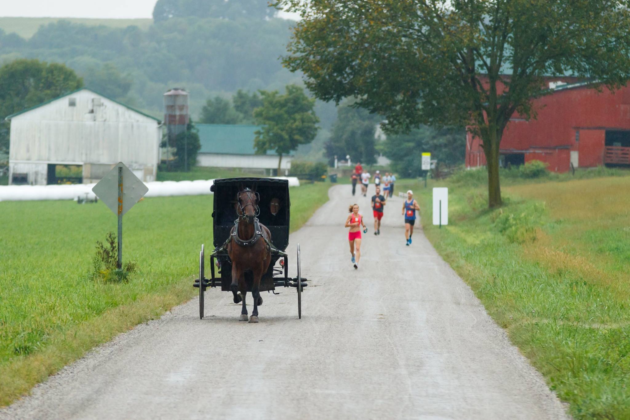 Berlin Amish Country Half Marathon 2019